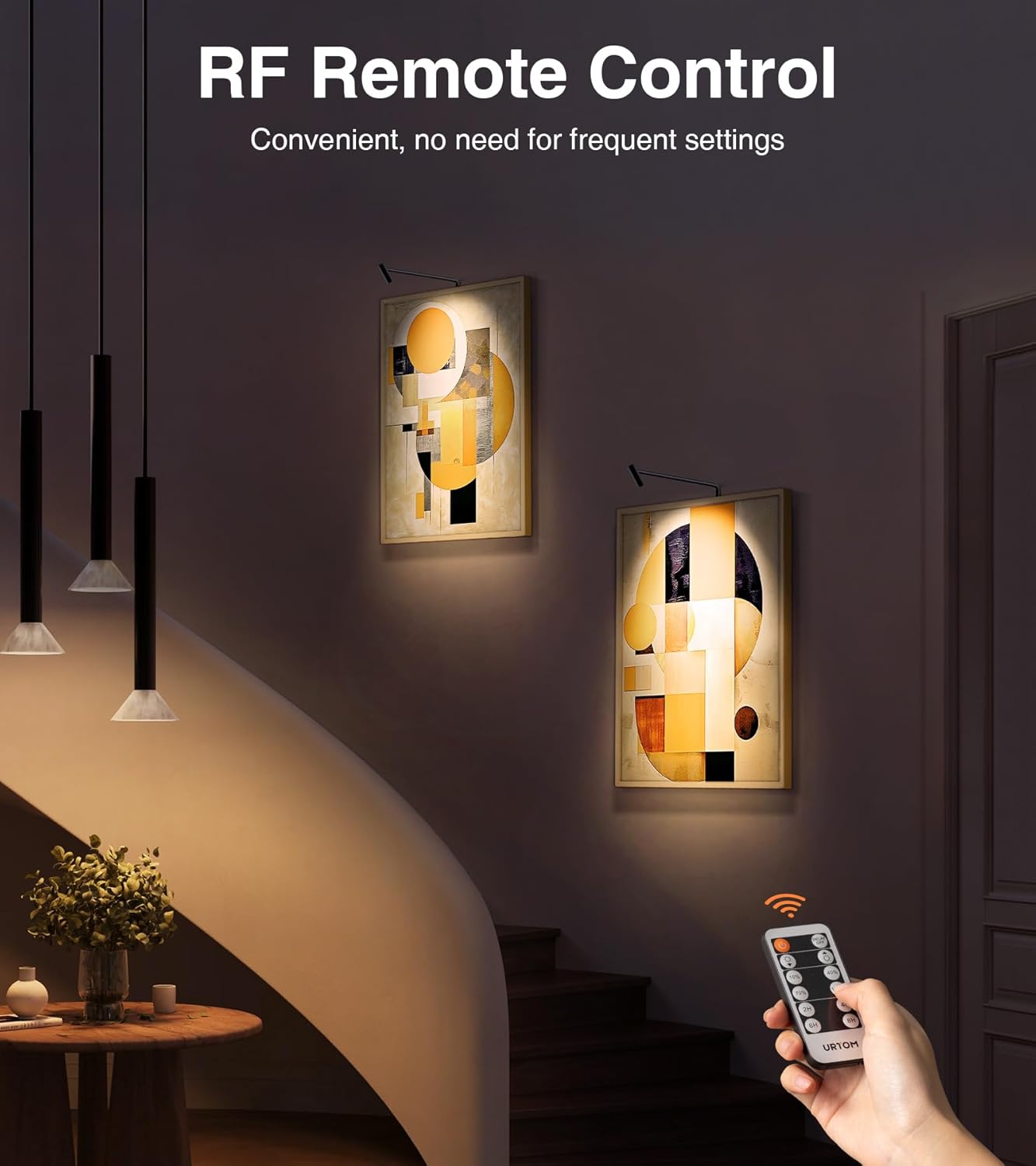 Plug in Picture Light LED Art Light 3000K Picture Lights with Remote Dimmiable Picture Frame Light Art Lights for Pictures on Wall CRI 90 Picture Light for Wall Artwork Display Portrait, 2 Pack