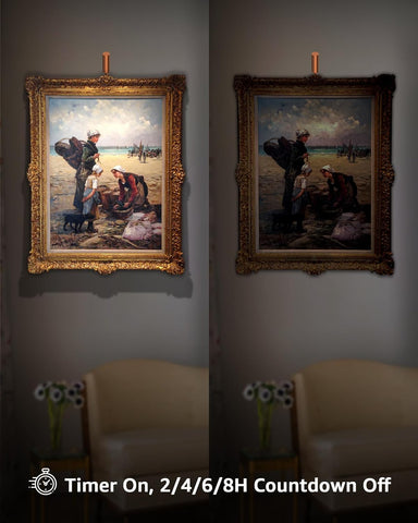 Plug in Picture Light Dimmable Art Lights for Paintings Remote Control 3000K Picture Frame Light with Timer CRI 90 LED Picture Lights for Wall Display Artwork Portrait Gallery, Copper Body