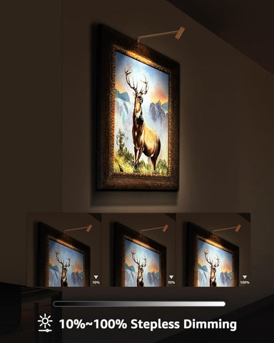 Plug in Picture Light Dimmable Art Lights for Paintings Remote Control 3000K Picture Frame Light with Timer CRI 90 LED Picture Lights for Wall Display Artwork Portrait Gallery, Copper Body