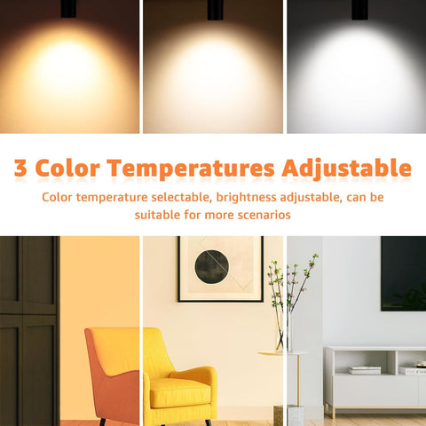 3000K/4000K/5000K Adjustable LED Floor Lights for Plants, Pictures, Artwork - 10ft Cord, Dimmable, 2 Pack