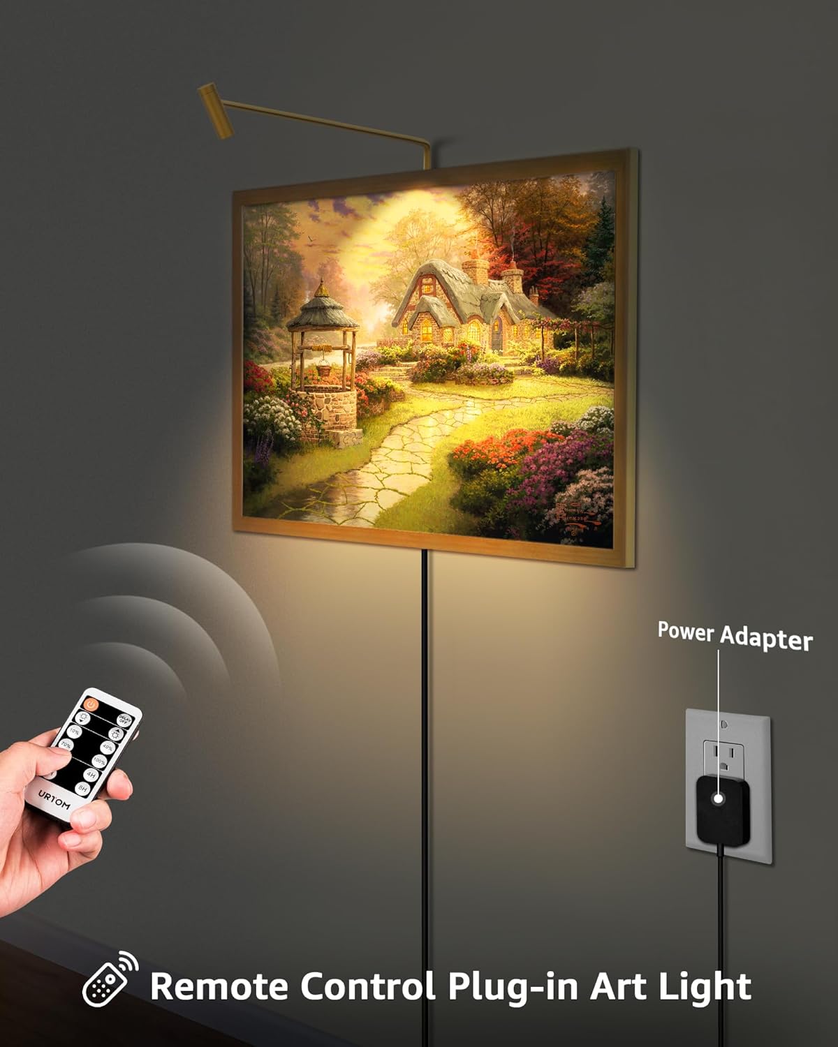 Brass Picture Light Plug in LED Picture Lights for Wall 3000K Warm White Picture Frame Light with Remote Control & Timer Dimmable Picture Lights Art Lighting for Paintings Wall Display Gallery