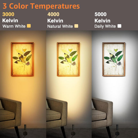 LED Spot Lights Indoor 3W Up Lights Indoor with Timer and Remote 3000K/4000K/5000K Uplighting Indoor Spotlight 120V Dimmable Uplights Indoor Floor Light for Plant and Artwork, 2 Pack, SHWT0302B