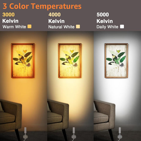 Dimmable LED Spot Lights Indoor, Remote Controlled with Timer, 3W Plug-in Up Lights, 3000K/4000K/5000K Uplighting Indoor Spotlight for Accent Lighting Plants or Artwork, 2 Pack