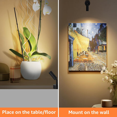 3000K/4000K/5000K Adjustable LED Floor Lights for Plants, Pictures, Artwork - 10ft Cord, Dimmable, 2 Pack