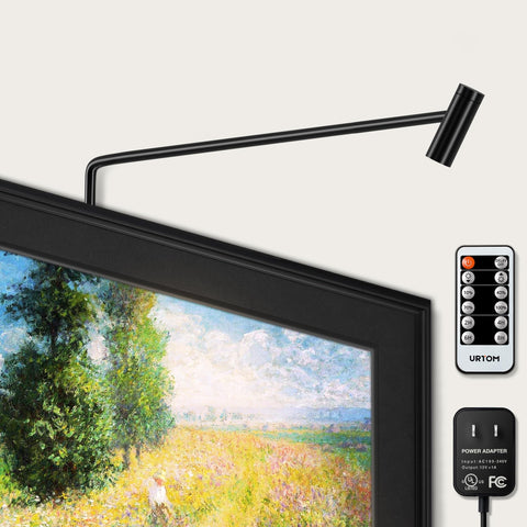 Plug in Picture Light LED Art Light 3000K Picture Lights with Remote Dimmiable Picture Frame Light Art Lights for Pictures on Wall CRI 90 Picture Light for Wall Artwork Display Portrait, 2 Pack