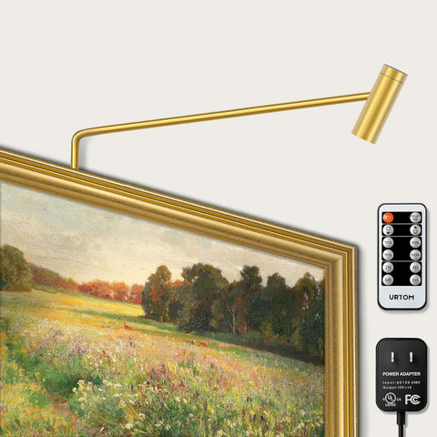 Brass Picture Light Plug in LED Picture Lights for Wall 3000K Warm White Picture Frame Light with Remote Control & Timer Dimmable Picture Lights Art Lighting for Paintings Wall Display Gallery